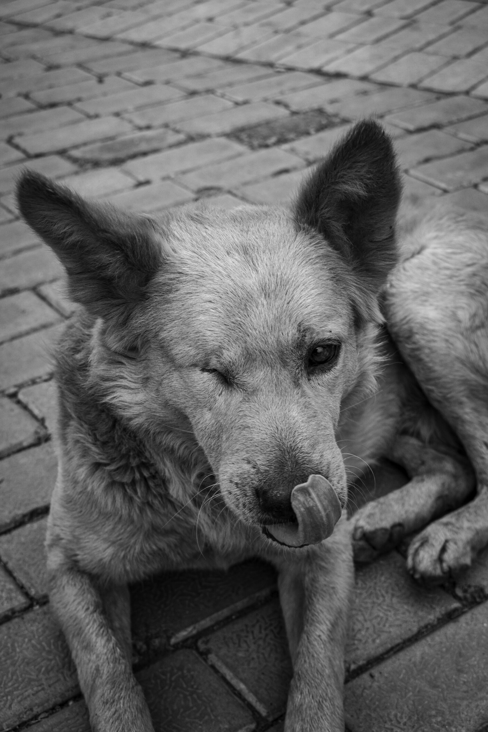 ashutosh-singh-rana-6-KXwgwxYvo-unsplash